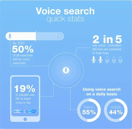 Graphic Showing Voice Search Stats
