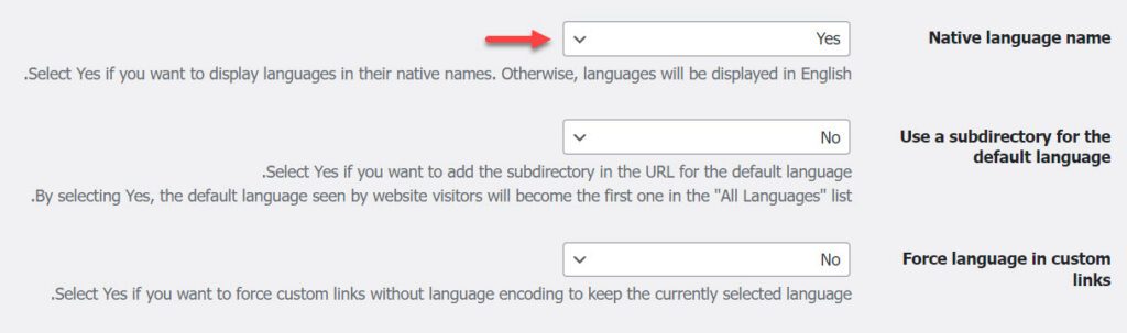 17 - Activate Language Translation In The Original Language On The Website Interface 