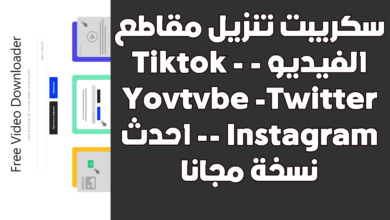 سكريبت تنزيل مقاطع الفيديو - Tiktok - Youtube -Twitter - Instagram- احدث نسخة مجانا